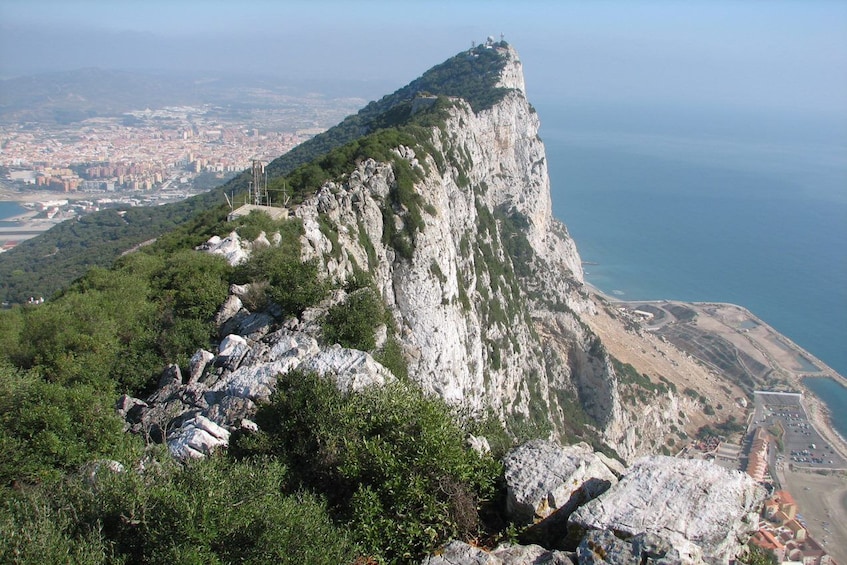 Gibraltar Dolphin-Watching Cruise - Full Day Tour
