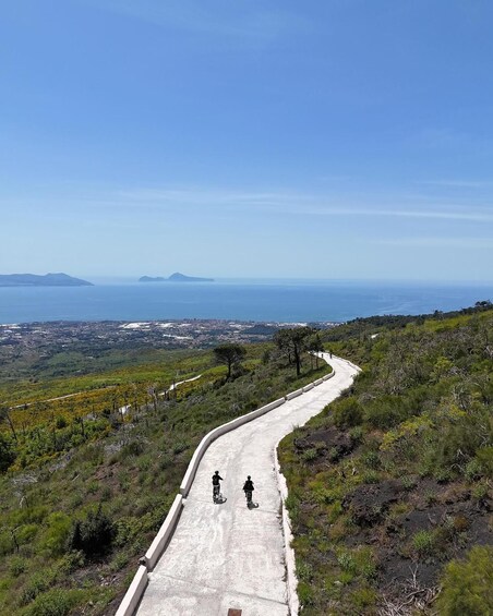 Vesuvio Bike Tour: Summit Ride, Ticket & Tasting Experience
