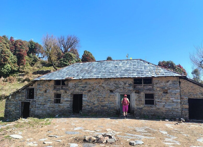 Picture 8 for Activity Guided Day Hike to Birni Devi Temple from Palampur