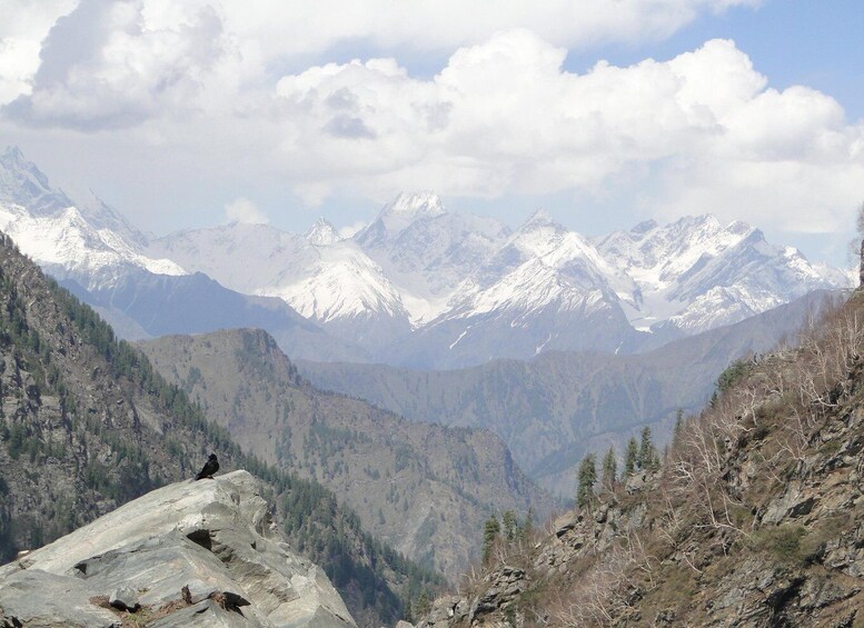 Picture 2 for Activity Guided Day Hike to Birni Devi Temple from Palampur