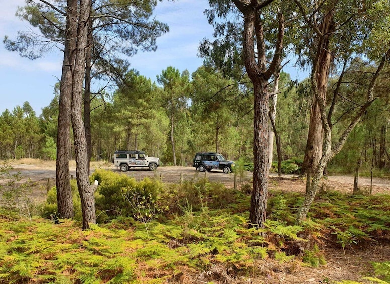 Picture 4 for Activity Porto: 4x4 Mountain Tour