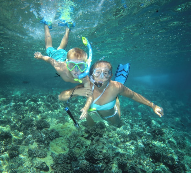 Molokini Crater and Turtle Town Snorkel Adventure aboard the Calypso