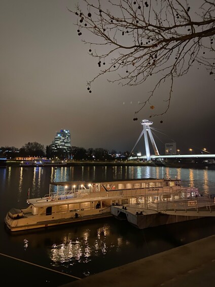 Picture 2 for Activity Bratislava: Sightseeing Cruises on the Danube River