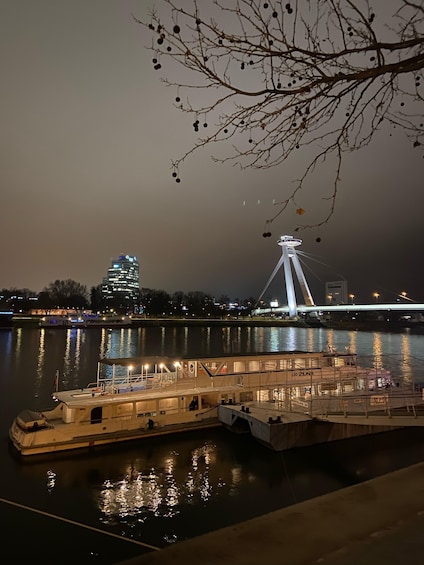 Picture 2 for Activity Bratislava: Sightseeing Cruises on the Danube River