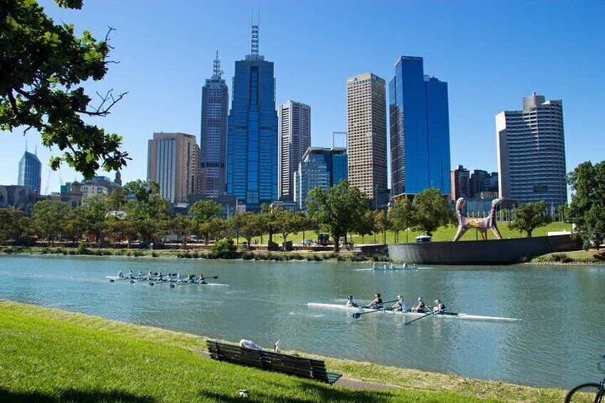 Melbourne Highlights and Aussie Wildlife Express Tour