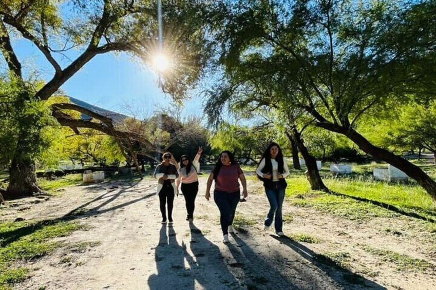 Tour to Bustamante Caves with Transfer Guide and Tickets