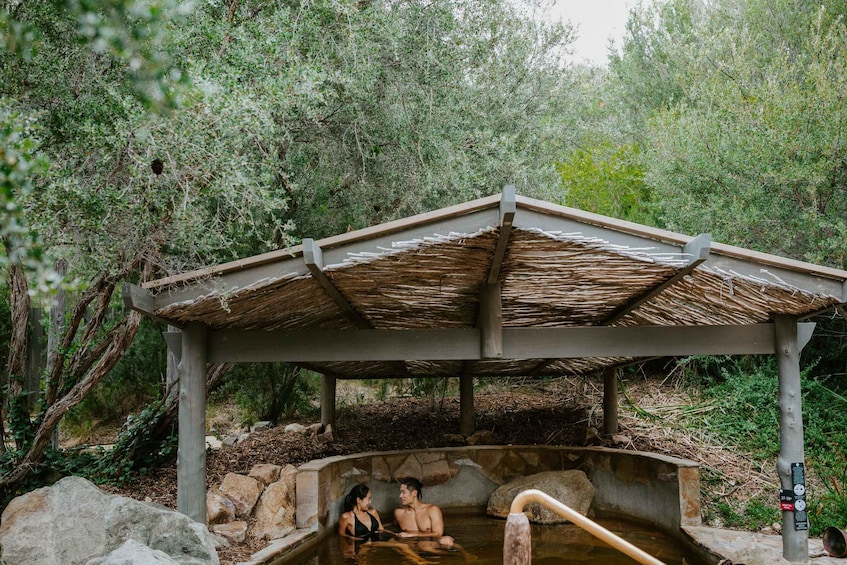 Picture 3 for Activity Peninsula Hot Springs: Private Sanctuary and Bathing