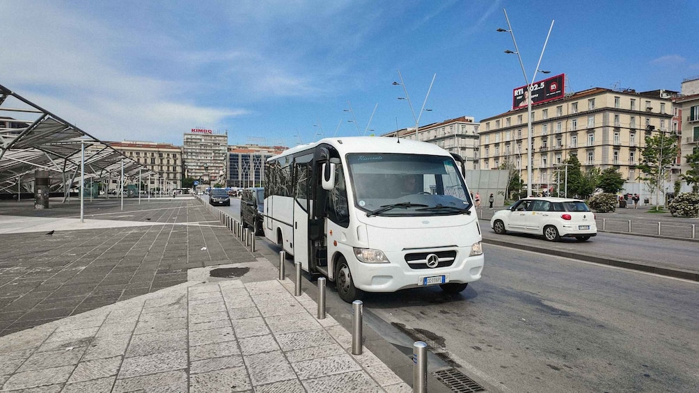 Picture 1 for Activity Mount Vesuvius from Naples: Bus, Ticket and Audio Guide