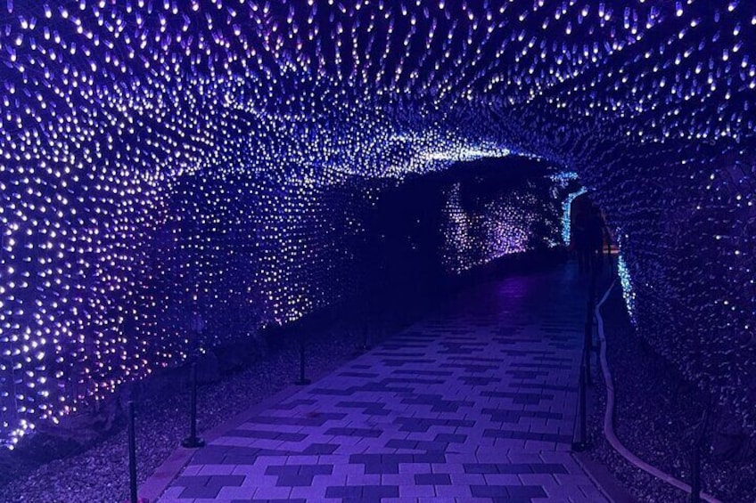 Starfield Suwon : Day Tour (Hwaseong Fortress, Gwangmyeong Cave)