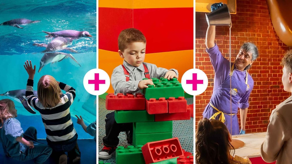 Birmingham: Cadbury World + SEA LIFE + LEGOLAND Discovery