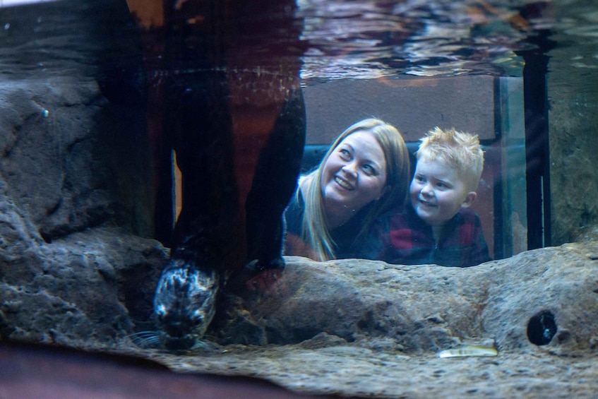 Picture 6 for Activity Birmingham: Cadbury World & SEA LIFE Birmingham