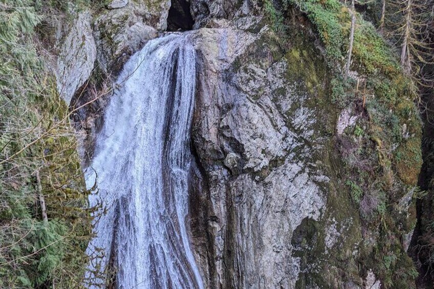 Explore Snoqualmie, Waterfalls and an Ancient Forest