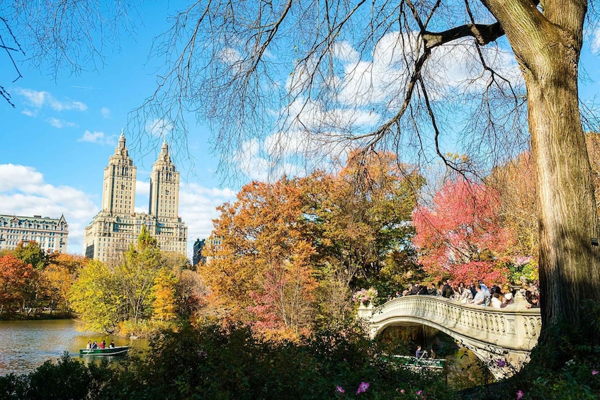Picture 7 for Activity Central Park Pedicab Tour / Photo Stops