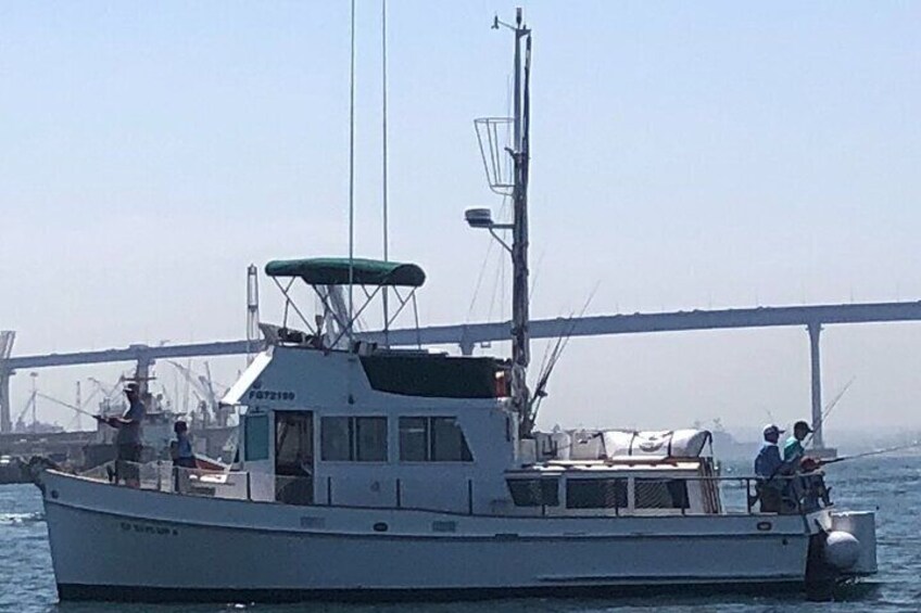 Bay Fishing Charter
