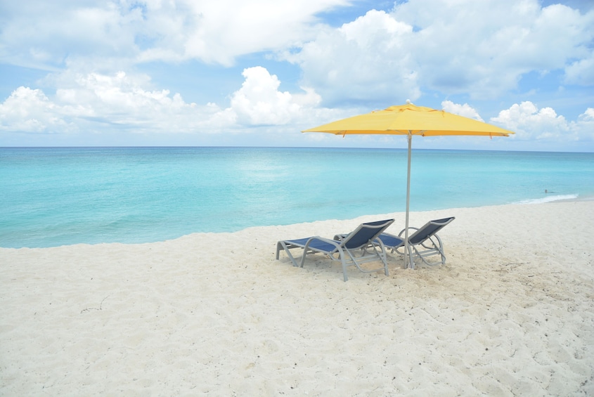 Bimini Bahamas Day Trip from Fort Lauderdale via Fast Ferry