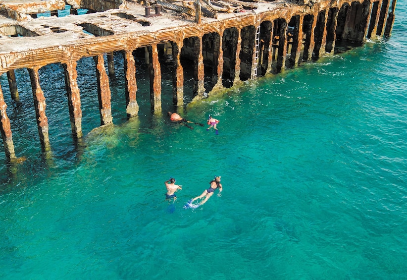 Group snorkeling off the waters of Bimini