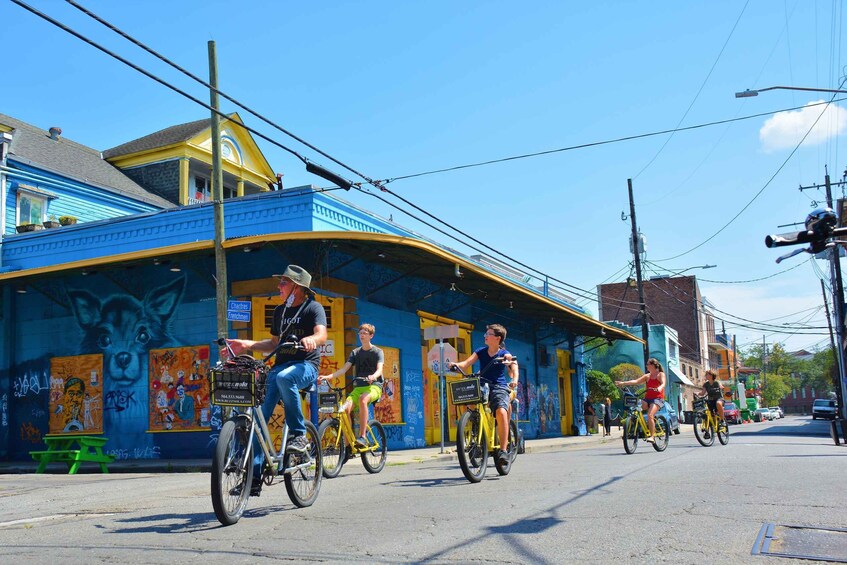 Picture 2 for Activity New Orleans: Electric Bike Creole Tour