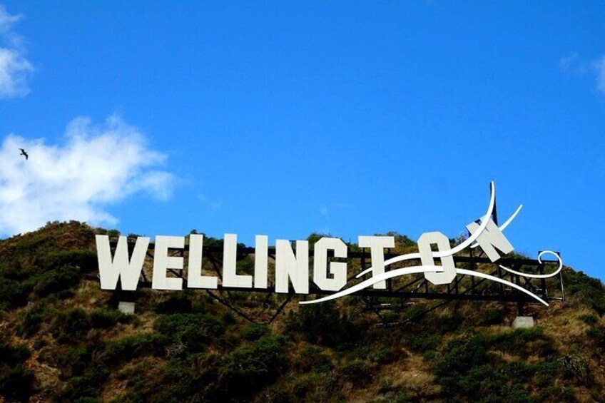 Full Day Private Tour Sightseeing Wellington Including Pickup