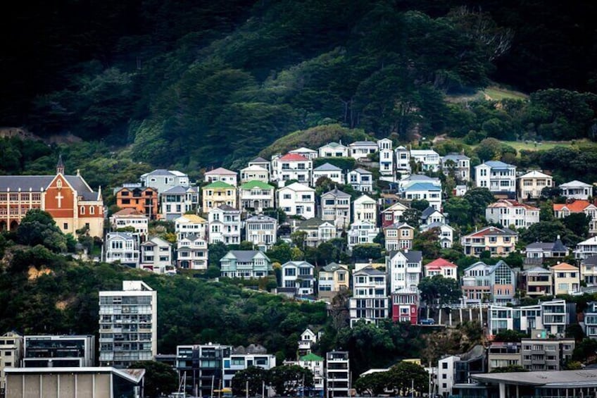 Full Day Private Tour Sightseeing Wellington Including Pickup