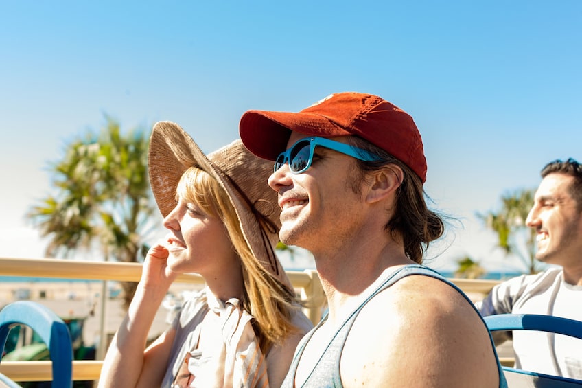 Miami Panoramic Bus Tour, Bayside Cruise and Everglades Experiences