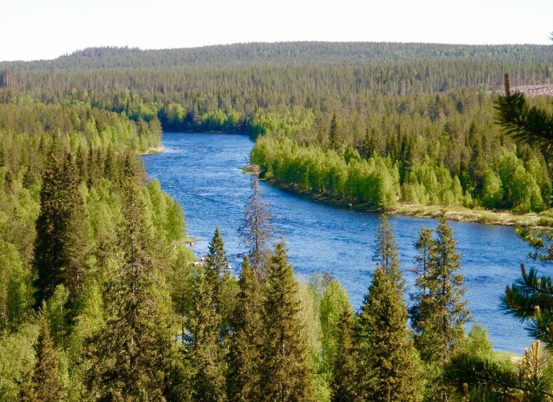 Picture 9 for Activity Rovaniemi: Summer Fishing Tour in Arctic Nature & BBQ