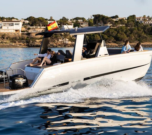 Picture 3 for Activity Palma: Private boat with Skipper from Playa de Palma