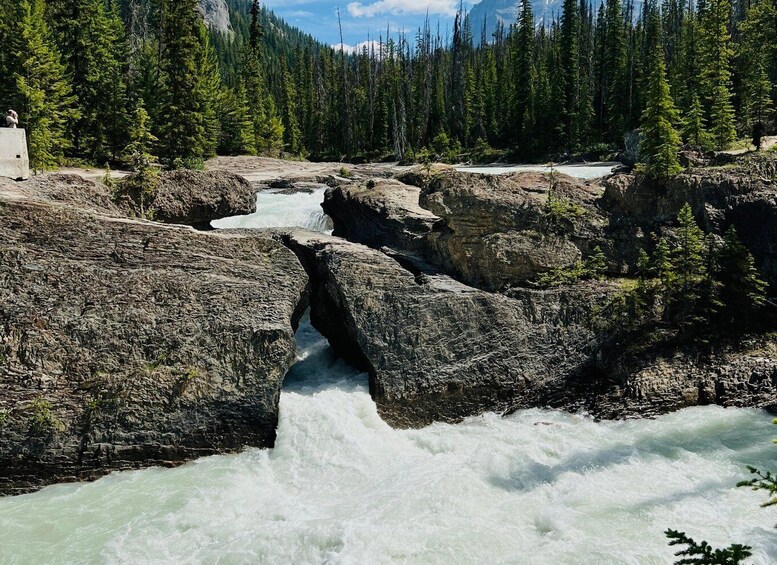 Picture 6 for Activity Lake Louise, Banff Gondola, & Yoho National Park 2 Day Tour