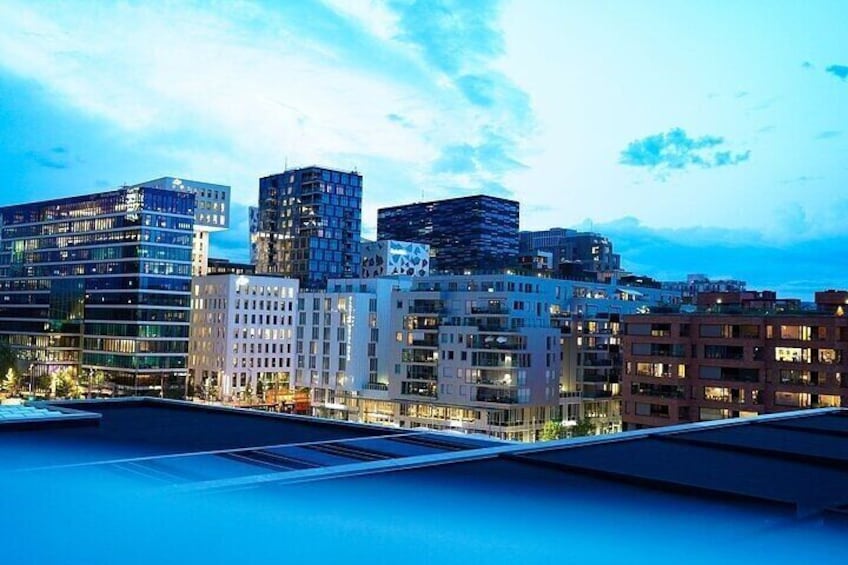 Private Guided Walking Tour in Oslo