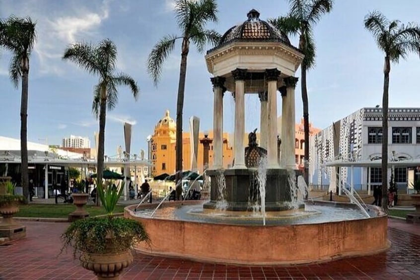 Private Guided Walking Tour of San Diego Attractions