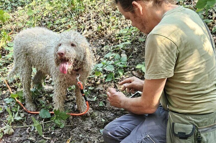 Truffle Hunting and Lunch in Piedmont Trattoria