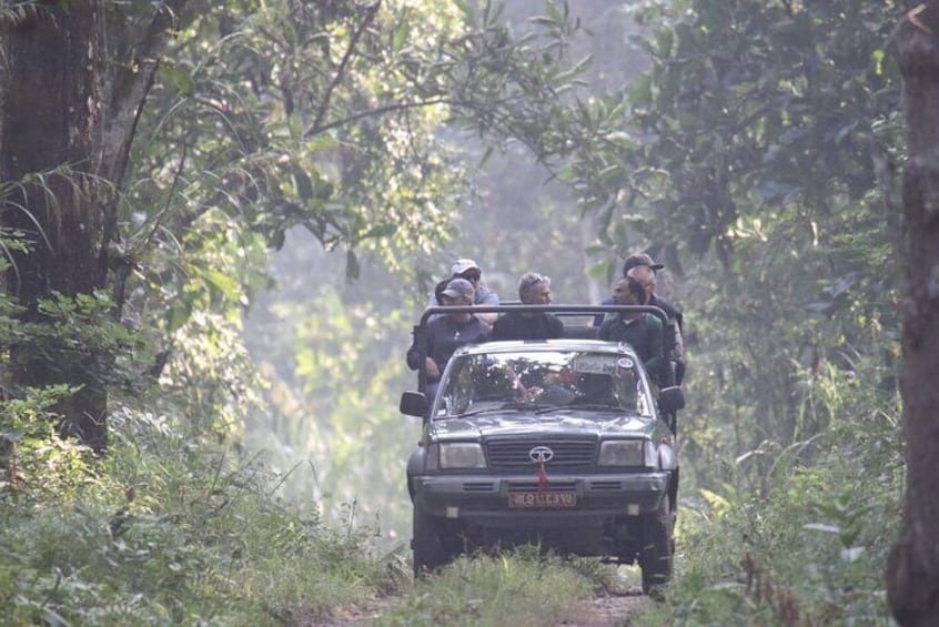 2 Nights 3 Days Chitwan National Park Package with Jeep Safari