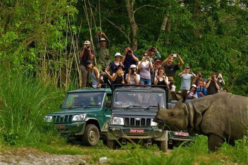 2 Nights 3 Days Chitwan National Park Package with Jeep Safari