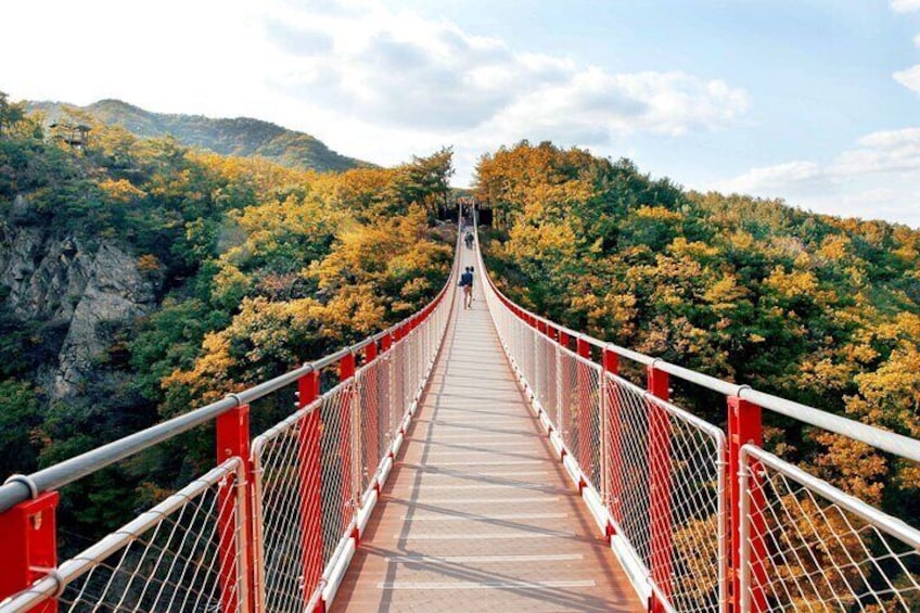 Seoul: DMZ and Gamaksan Suspension Bridge Full Day Tour