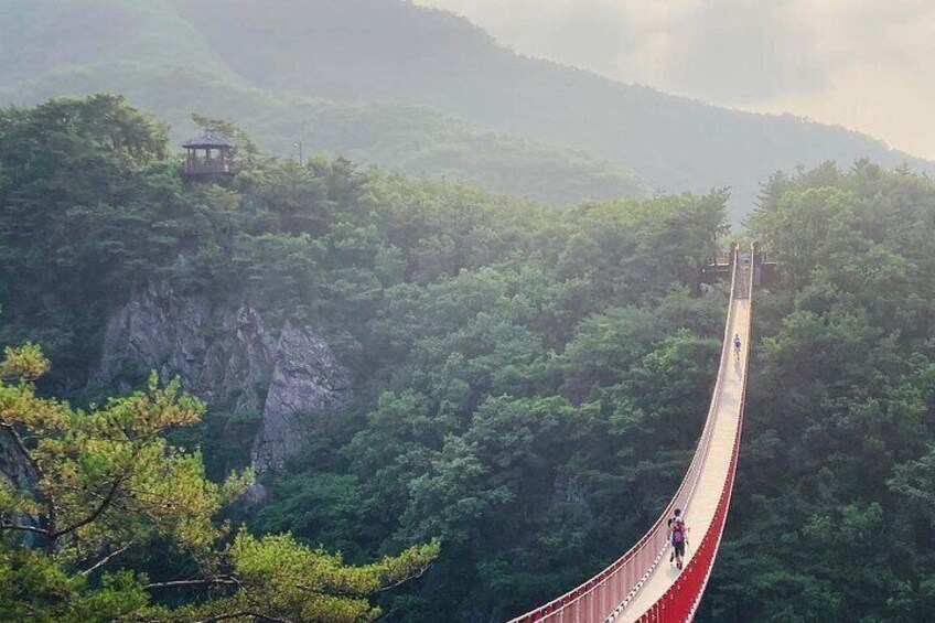 Seoul: DMZ and Gamaksan Suspension Bridge Full Day Tour