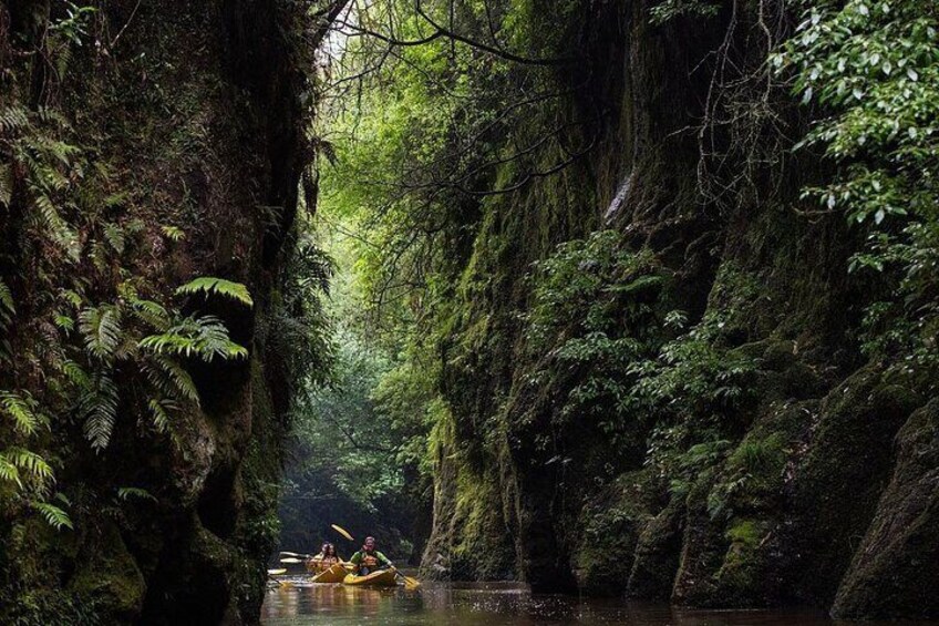 Twilight Kayak Glowworm Tour with Stargazing 
