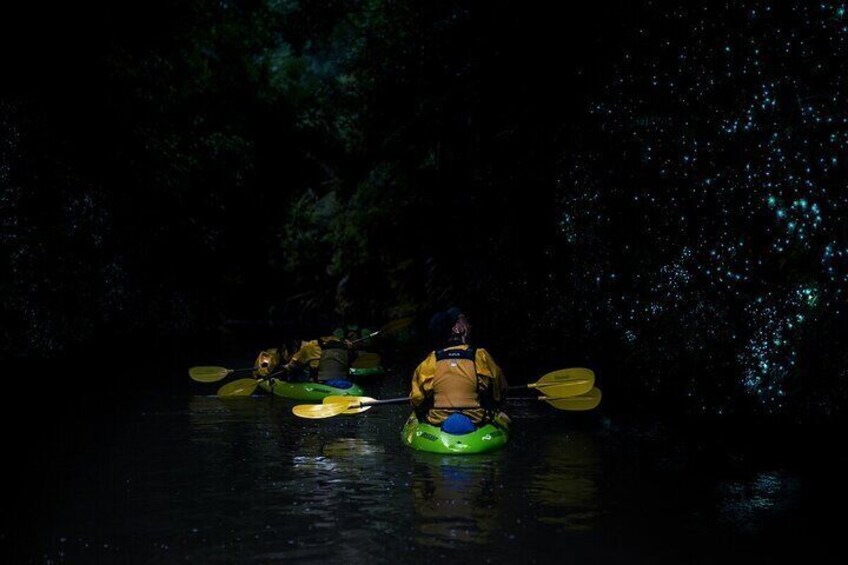 Twilight Kayak Glowworm Tour with Stargazing
