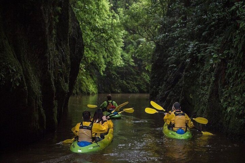 Twilight Kayak Glowworm Tour with Stargazing