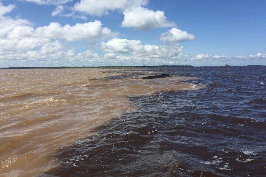 Full Day Trip of Amazon with Lunch