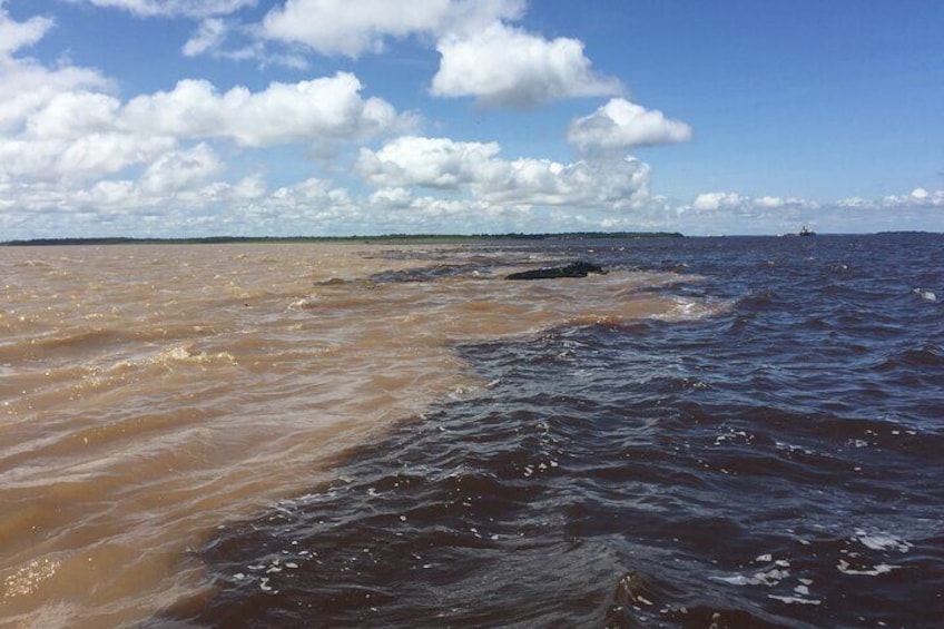 Full Day Trip of Amazon with Lunch