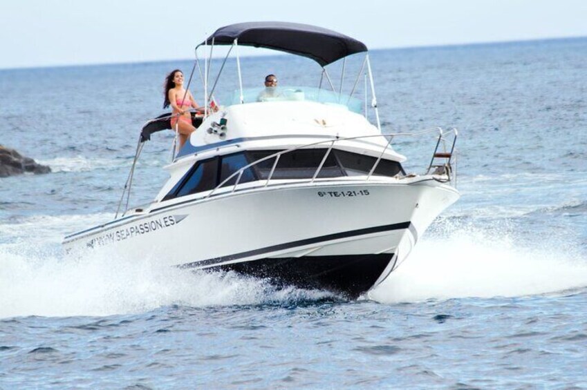 Whale watching and snorkelling in the whale sanctuary