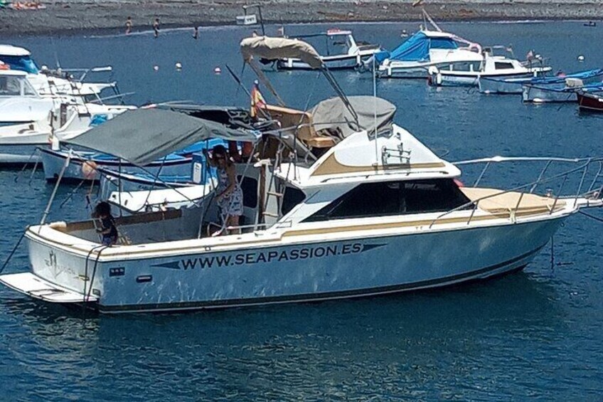 Whale watching and snorkelling in the whale sanctuary