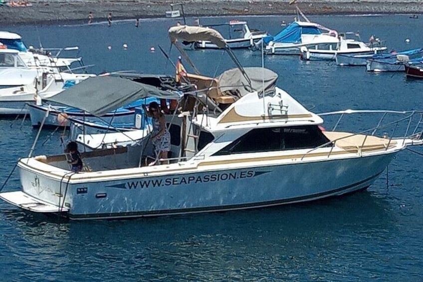 Whale watching and snorkelling in the whale sanctuary