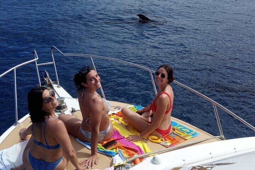 Whale watching and snorkelling in the whale sanctuary