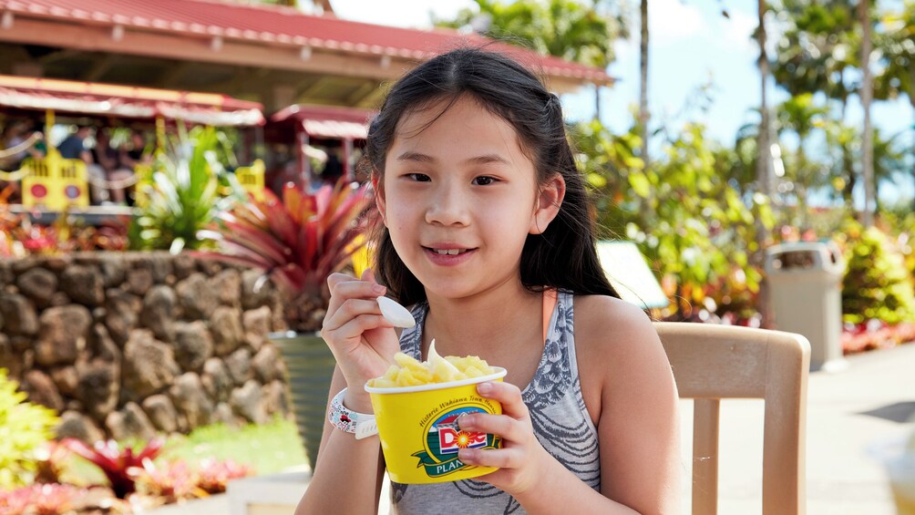 Haleiwa Express & Dole Plantation