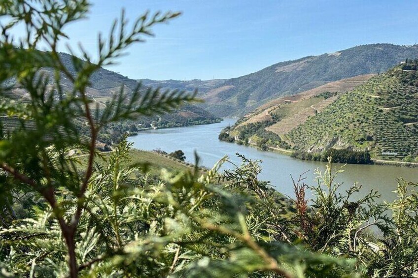 Private Porto Tour from Lisbon with Stop in Douro Valley