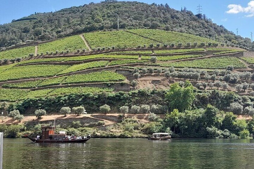 Private Porto Tour from Lisbon with Stop in Douro Valley