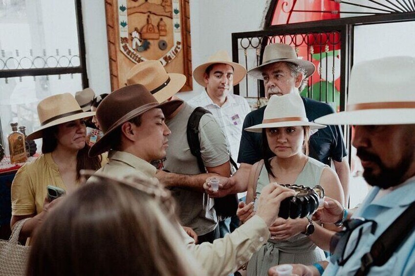Full Day Guided Tour in Amatitán and Tequila with Tasting