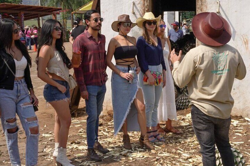 Full Day Guided Tour of Tequila and Amatitan with Tasting