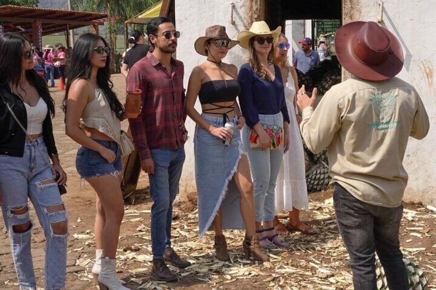 Full Day Guided Tour of Tequila and Amatitan with Tasting