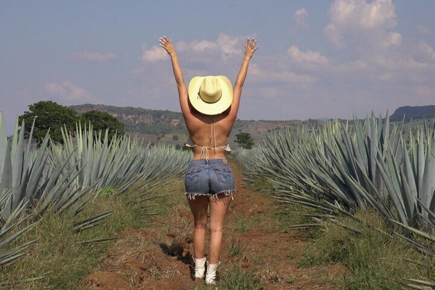 Full Day Guided Tour of Tequila and Amatitan with Tasting